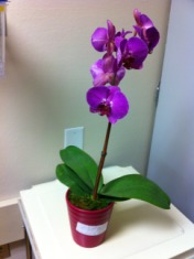 2011-05-20-Janeen's TBI-26.jpg